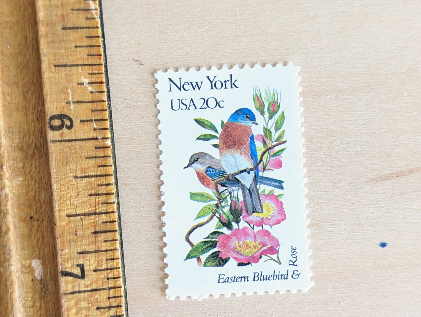 New York State Stamp, Set of 5, Vintage Unused USPS 20 Cent Postage Stamps, State Bird and Flower, 1982, Gummed