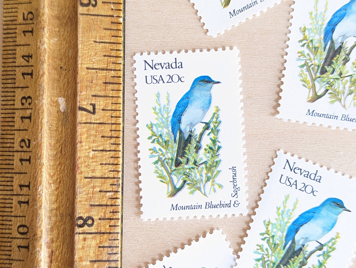 Nevada State Stamp, Set of 5, Vintage Unused USPS 20 Cent Postage Stamps, State Bird and Flower, 1982, Gummed