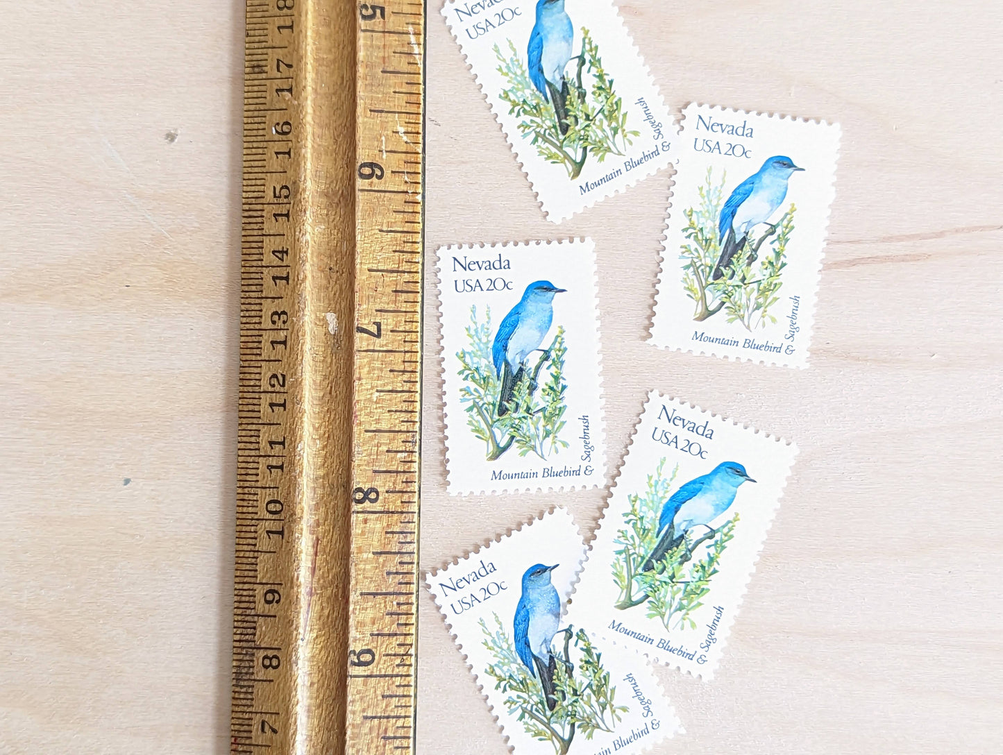 Nevada State Stamp, Set of 5, Vintage Unused USPS 20 Cent Postage Stamps, State Bird and Flower, 1982, Gummed