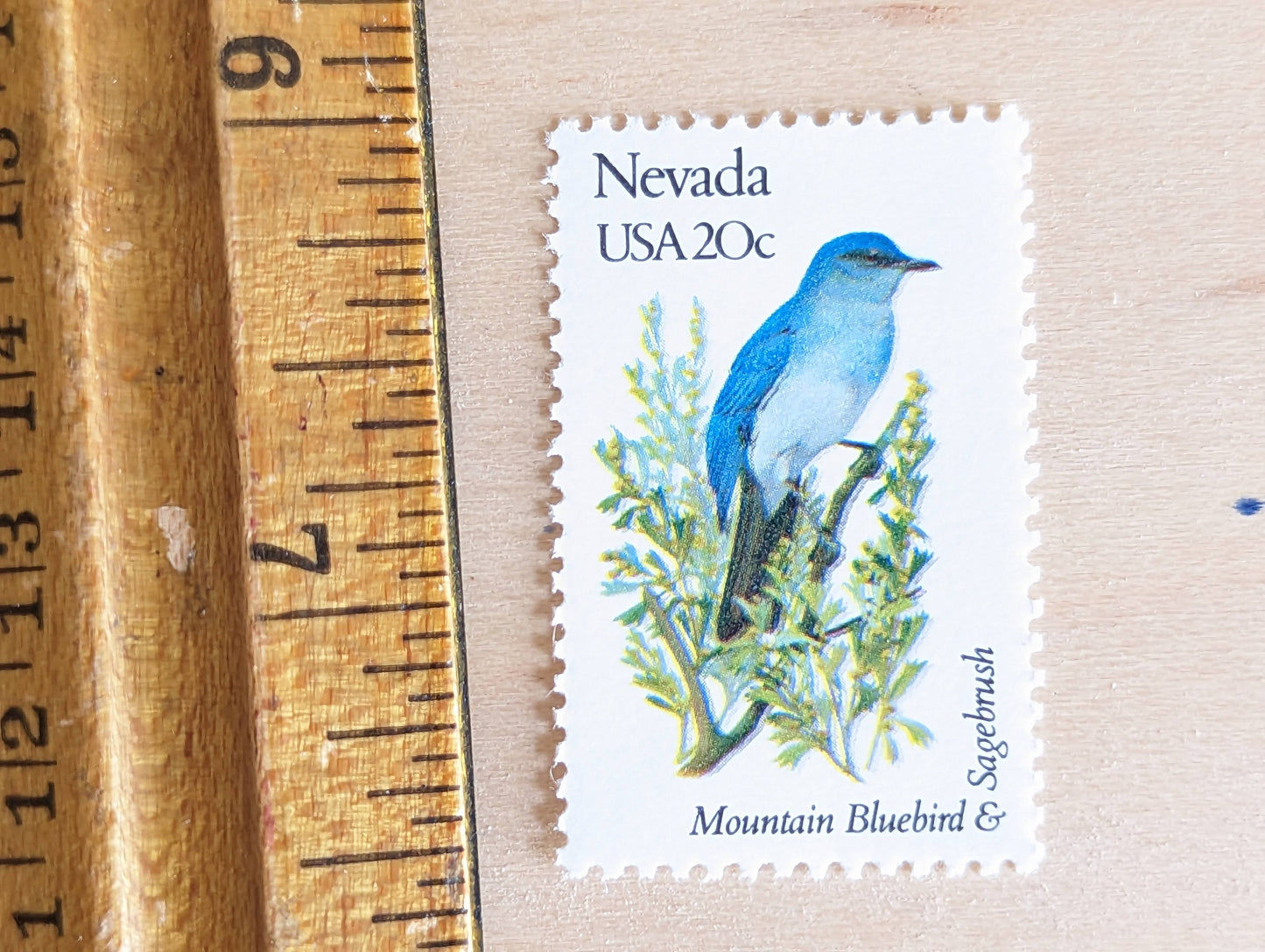 Nevada State Stamp, Set of 5, Vintage Unused USPS 20 Cent Postage Stamps, State Bird and Flower, 1982, Gummed