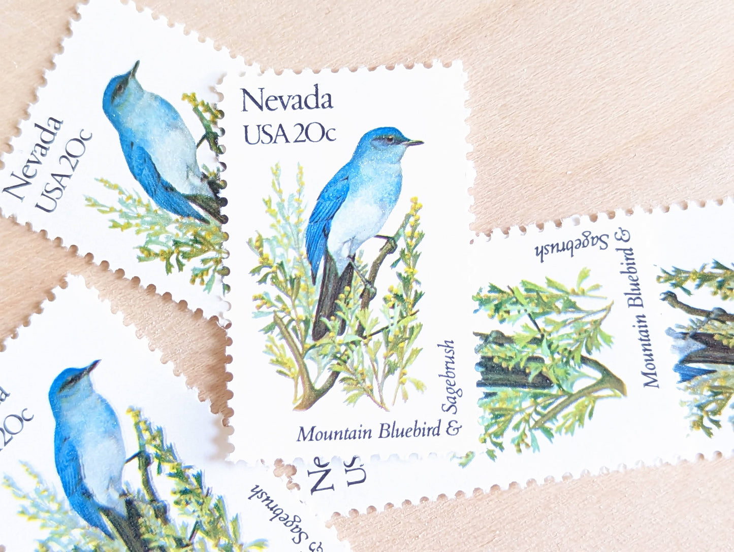 Nevada State Stamp, Set of 5, Vintage Unused USPS 20 Cent Postage Stamps, State Bird and Flower, 1982, Gummed