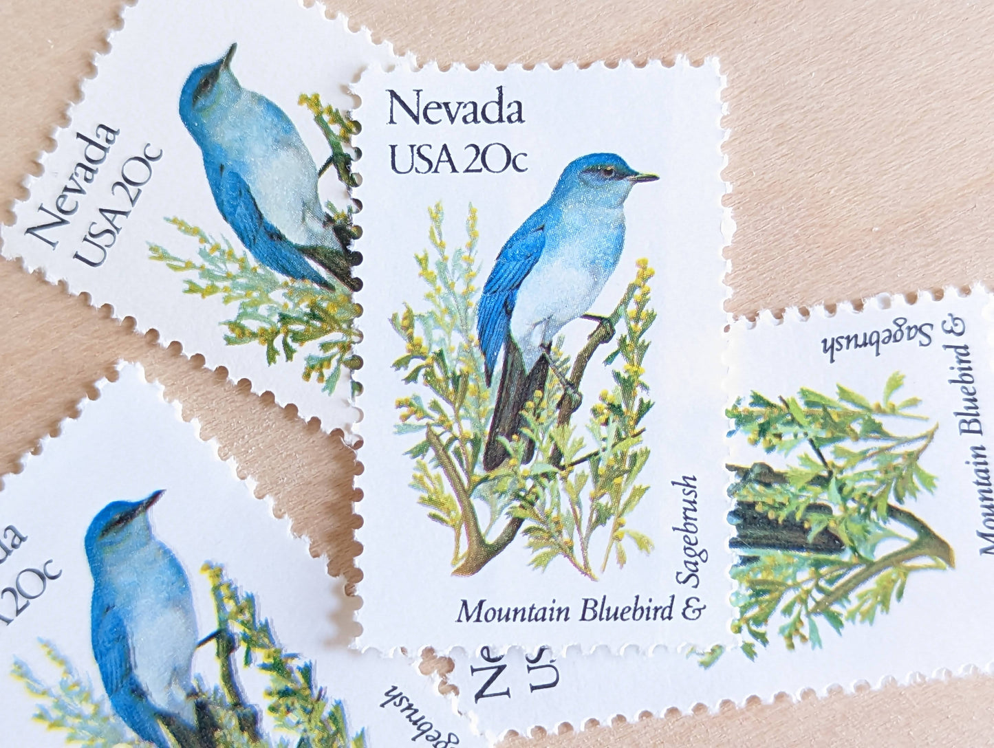 Nevada State Stamp, Set of 5, Vintage Unused USPS 20 Cent Postage Stamps, State Bird and Flower, 1982, Gummed