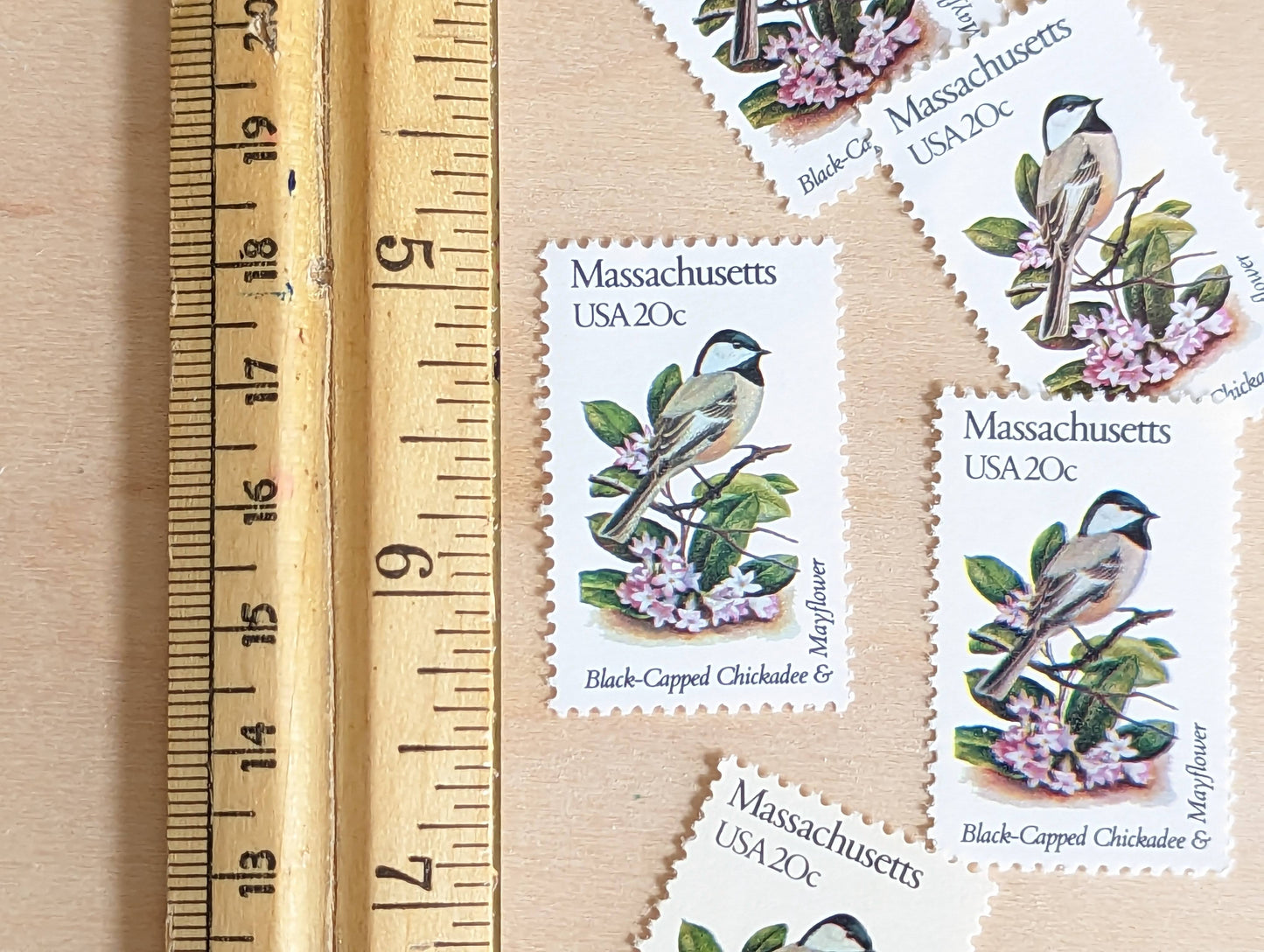 Massachusetts State Stamp, Set of 5, Vintage Unused USPS 20 Cent Postage Stamps, State Bird and Flower, 1982, Gummed