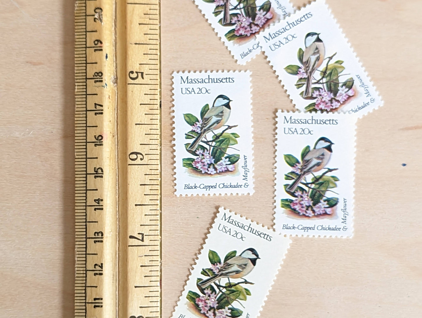 Massachusetts State Stamp, Set of 5, Vintage Unused USPS 20 Cent Postage Stamps, State Bird and Flower, 1982, Gummed