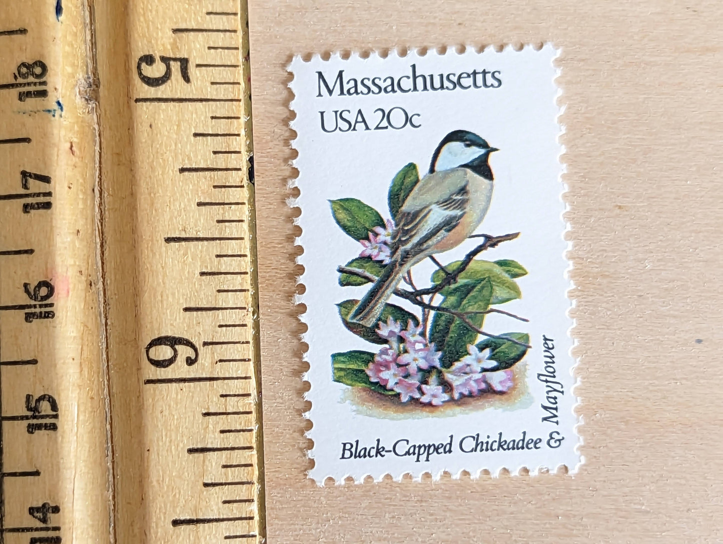 Massachusetts State Stamp, Set of 5, Vintage Unused USPS 20 Cent Postage Stamps, State Bird and Flower, 1982, Gummed