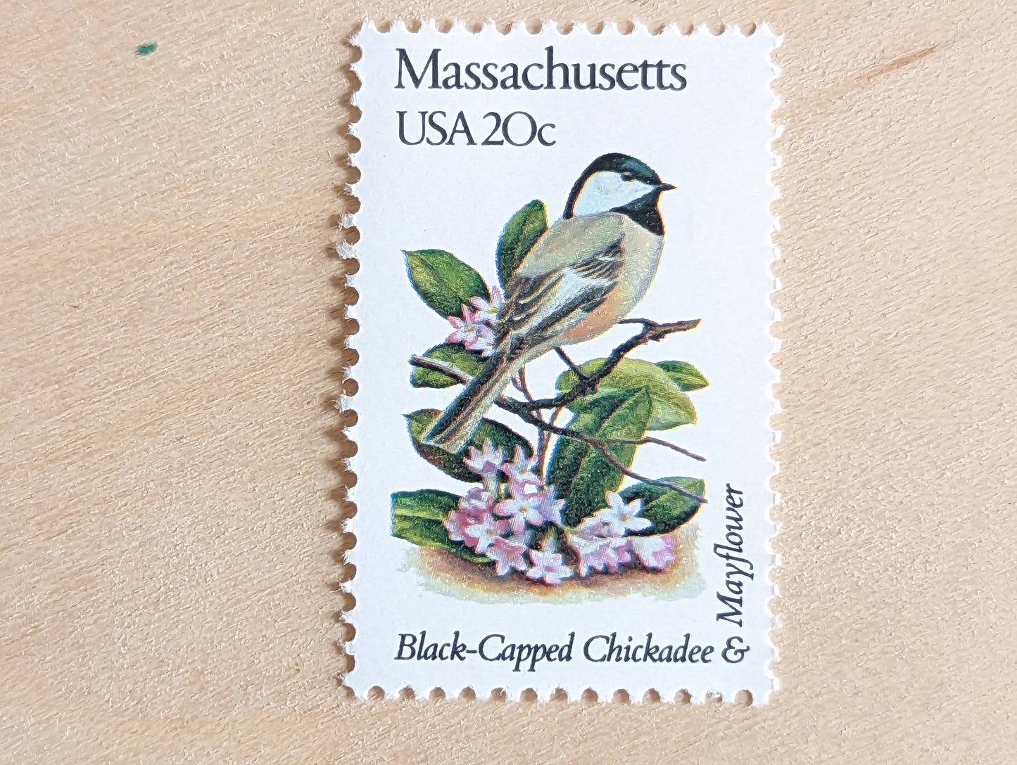 Massachusetts State Stamp, Set of 5, Vintage Unused USPS 20 Cent Postage Stamps, State Bird and Flower, 1982, Gummed