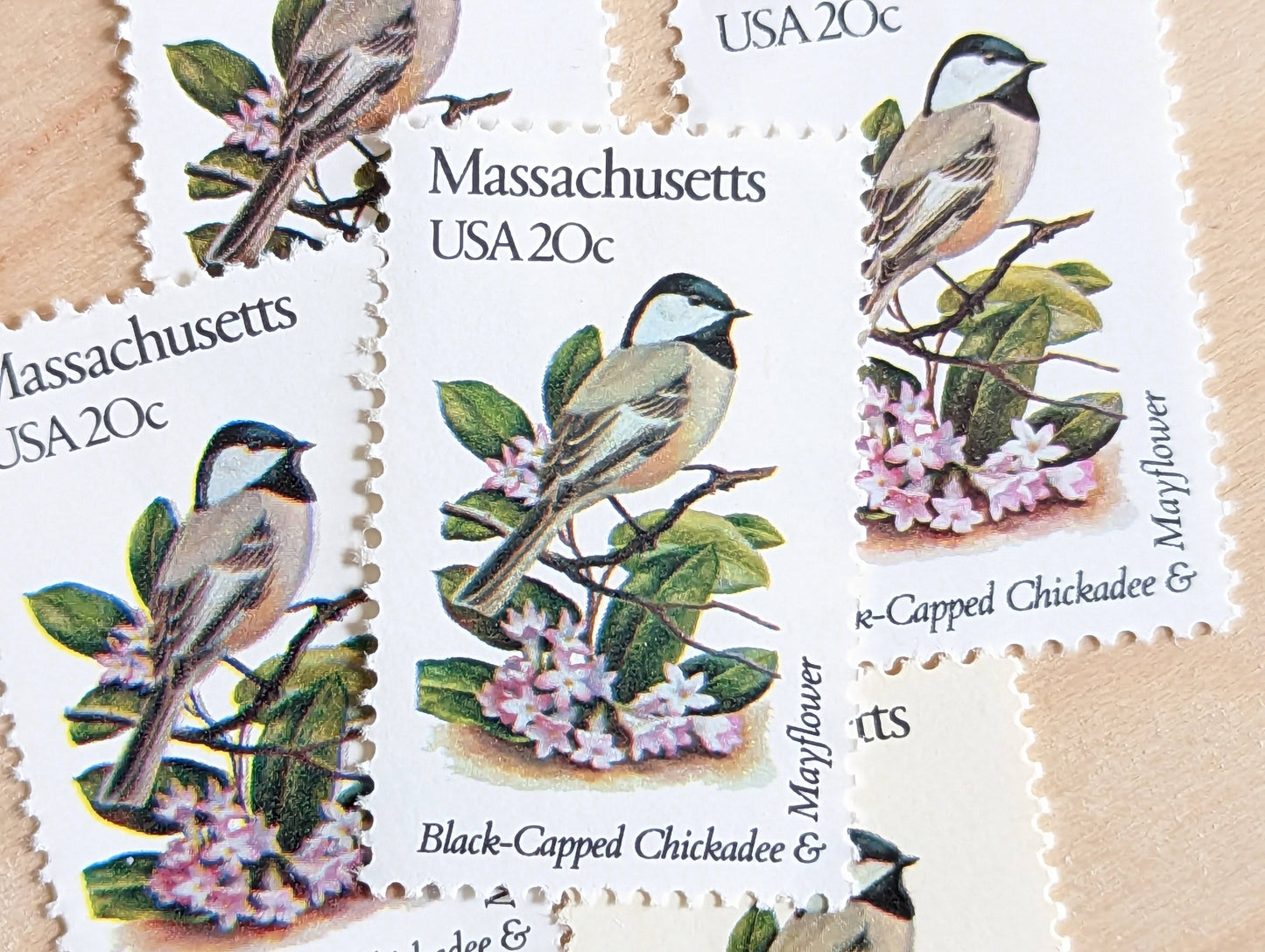 Massachusetts State Stamp, Set of 5, Vintage Unused USPS 20 Cent Postage Stamps, State Bird and Flower, 1982, Gummed