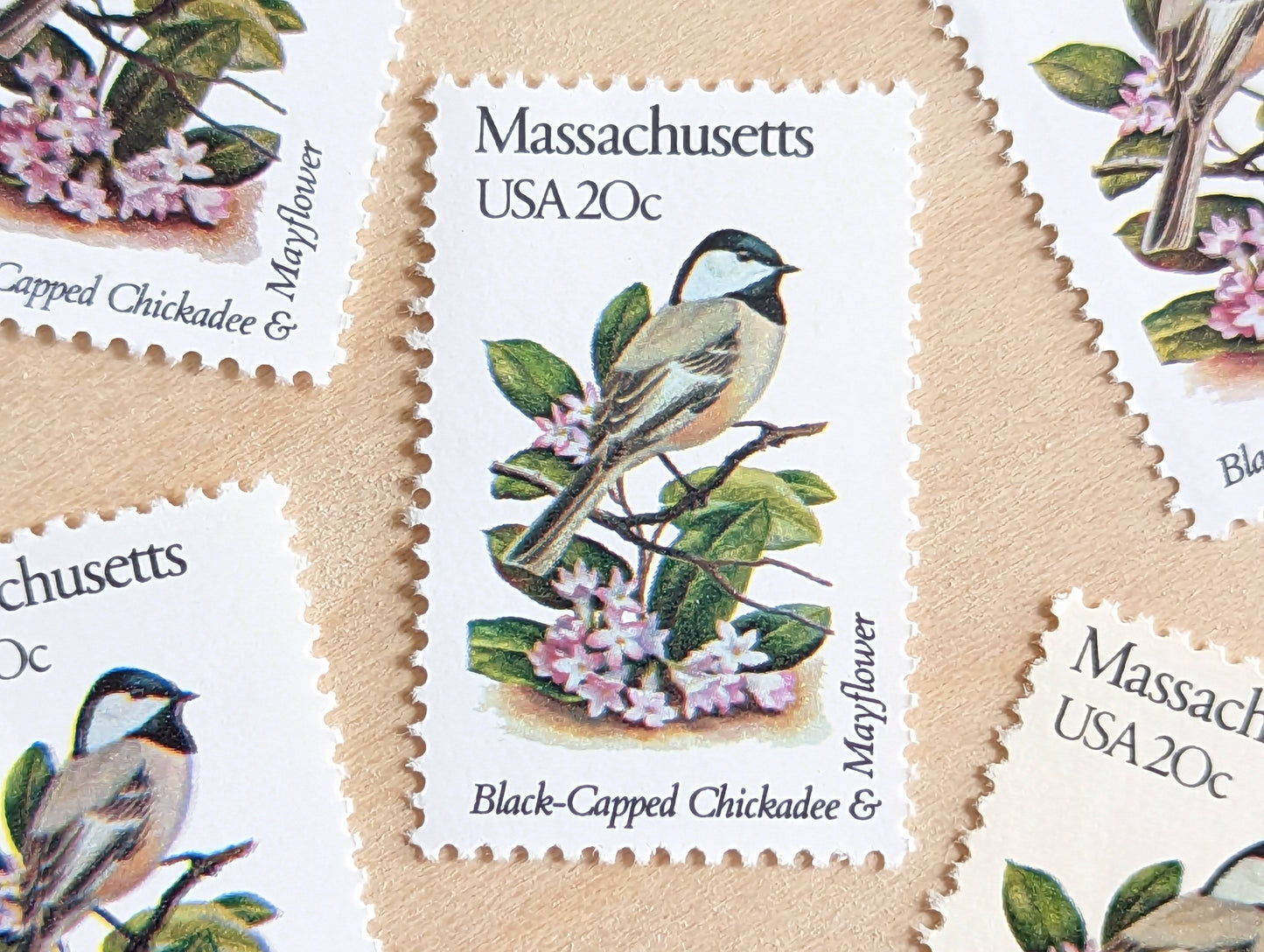Massachusetts State Stamp, Set of 5, Vintage Unused USPS 20 Cent Postage Stamps, State Bird and Flower, 1982, Gummed