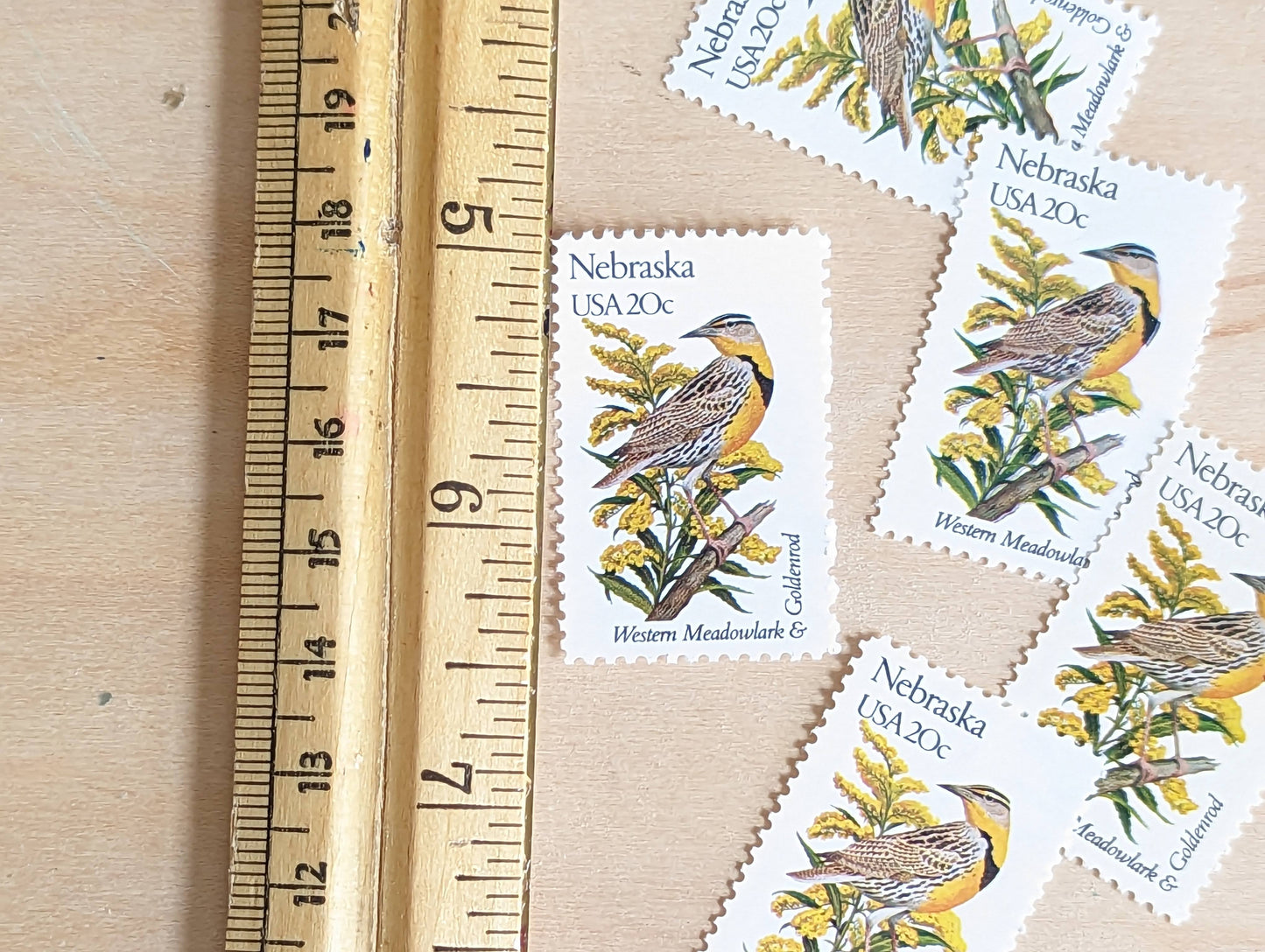 Nebraska State Stamp, Set of 5, Vintage Unused USPS 20 Cent Postage Stamps, State Bird and Flower, 1982, Gummed
