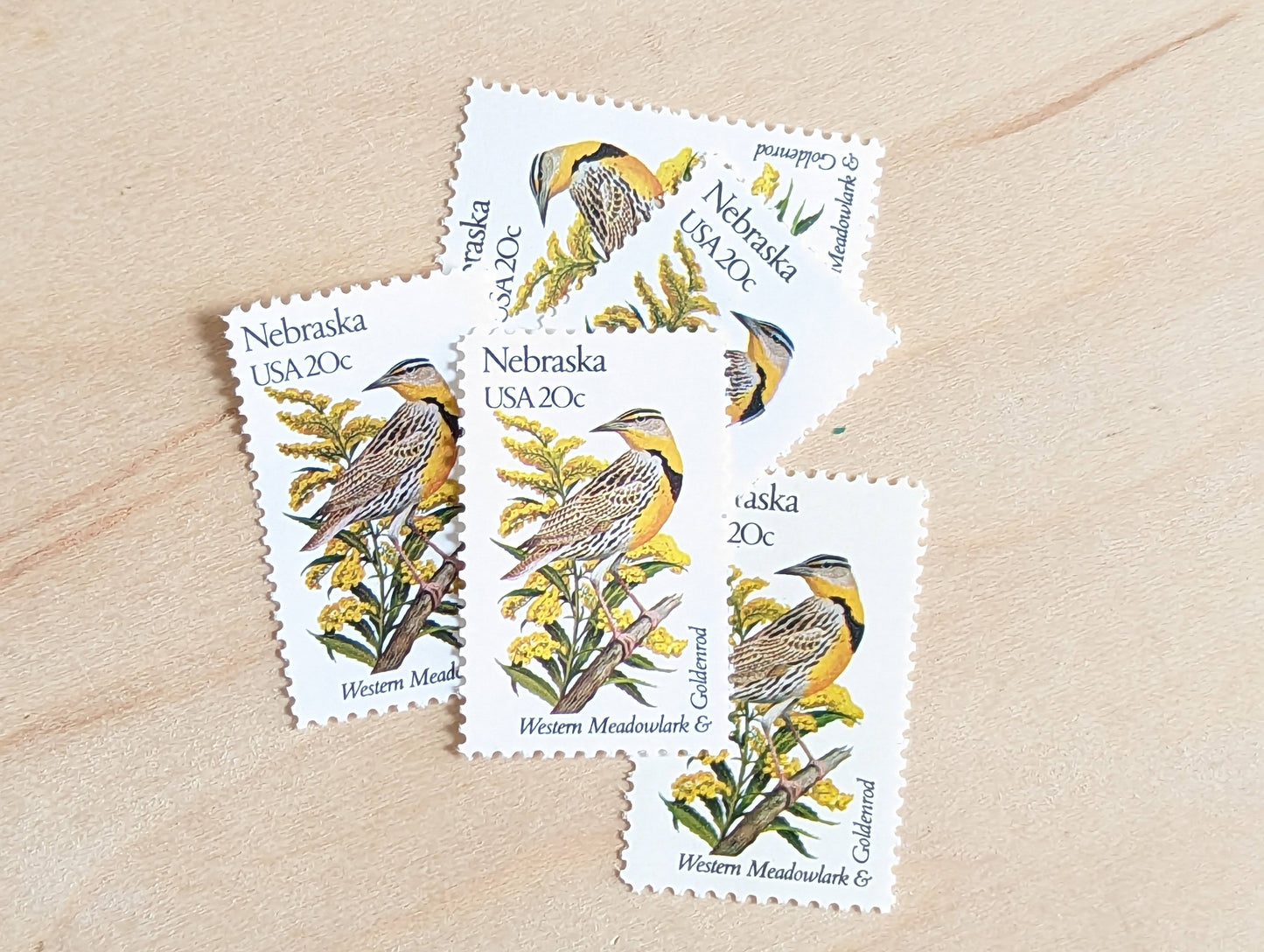 Nebraska State Stamp, Set of 5, Vintage Unused USPS 20 Cent Postage Stamps, State Bird and Flower, 1982, Gummed