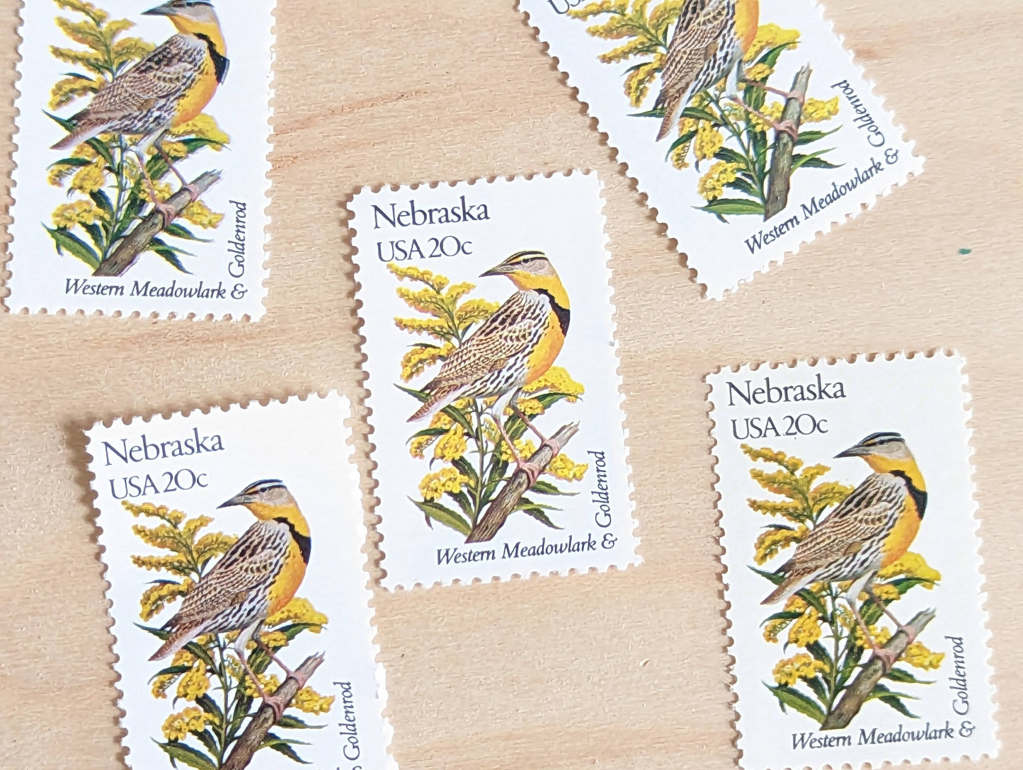 Nebraska State Stamp, Set of 5, Vintage Unused USPS 20 Cent Postage Stamps, State Bird and Flower, 1982, Gummed