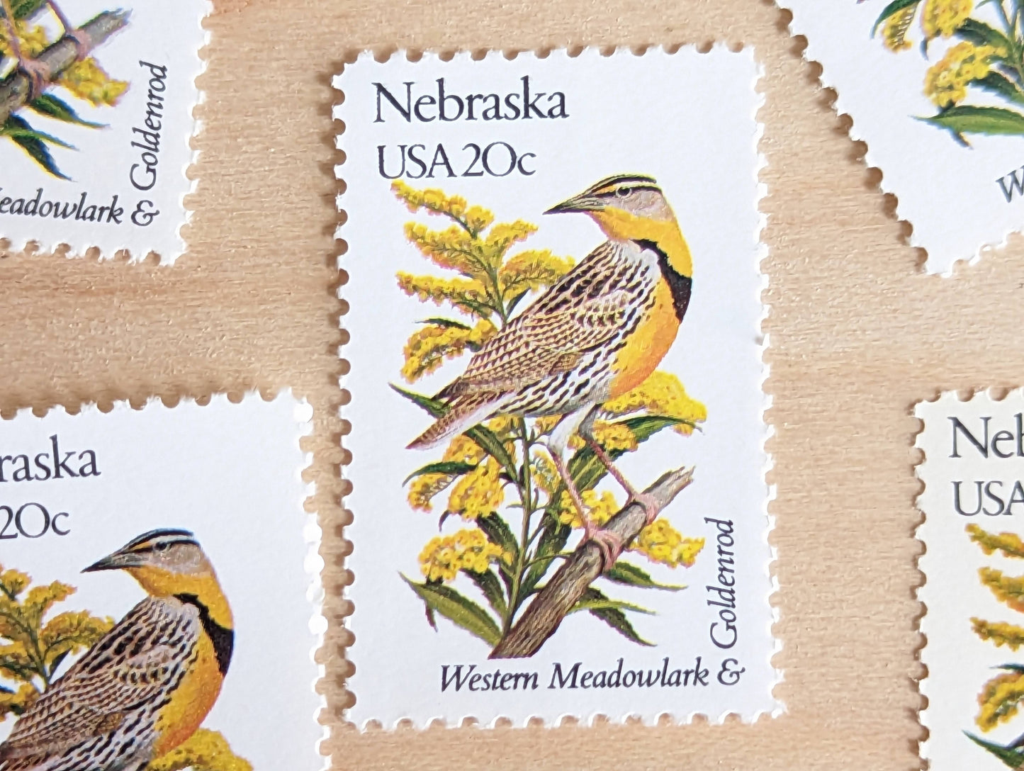 Nebraska State Stamp, Set of 5, Vintage Unused USPS 20 Cent Postage Stamps, State Bird and Flower, 1982, Gummed