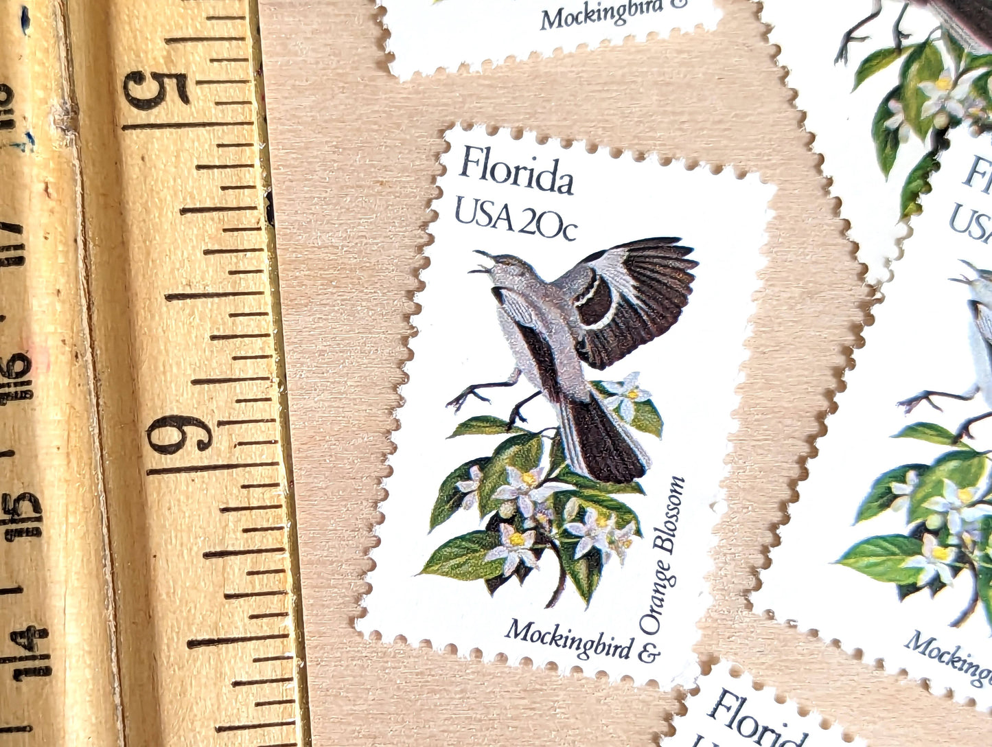 Florida State Stamp, Set of 5, Vintage Unused USPS 20 Cent Postage Stamps, State Bird and Flower, 1982, Gummed