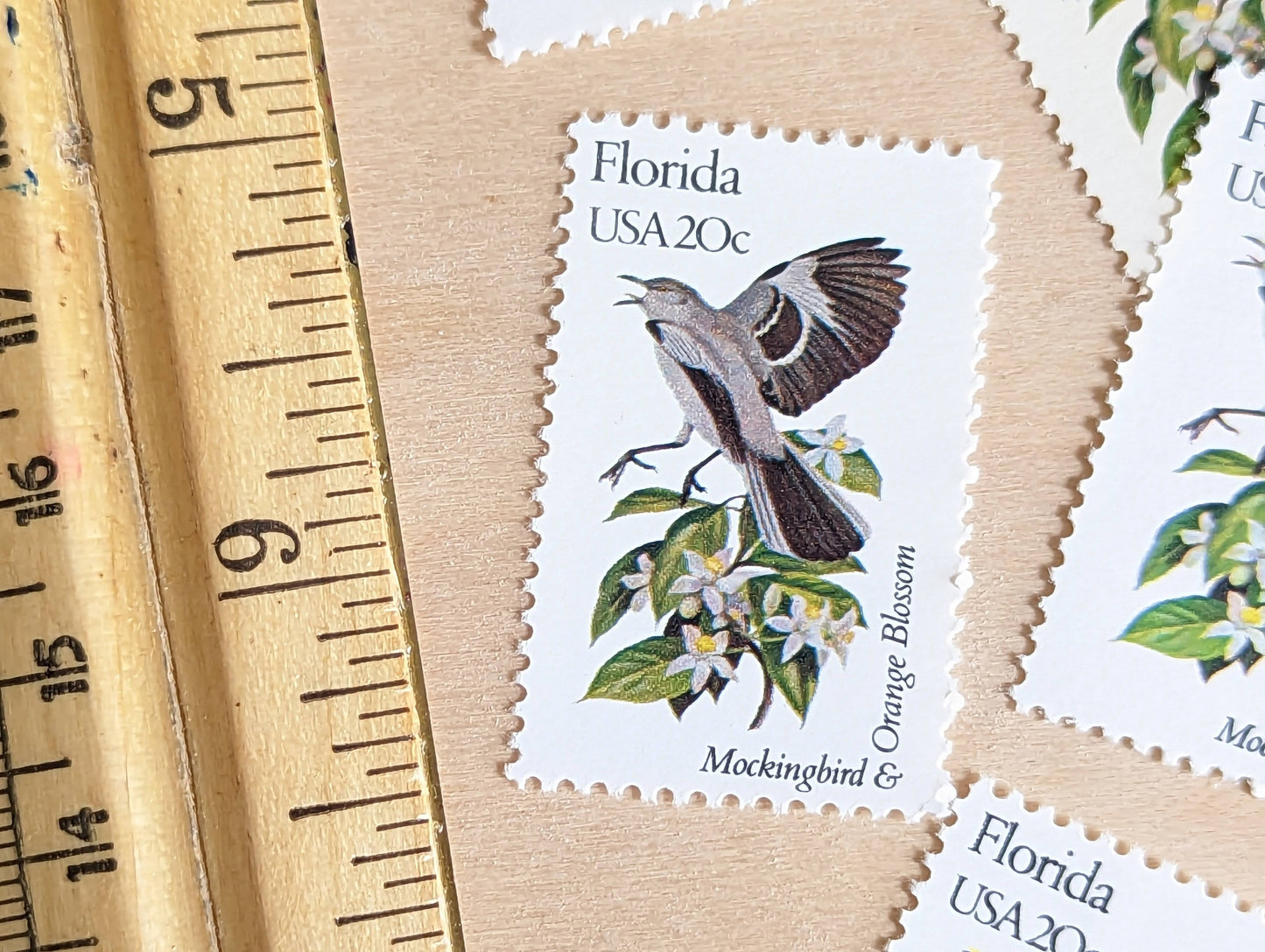 Florida State Stamp, Set of 5, Vintage Unused USPS 20 Cent Postage Stamps, State Bird and Flower, 1982, Gummed
