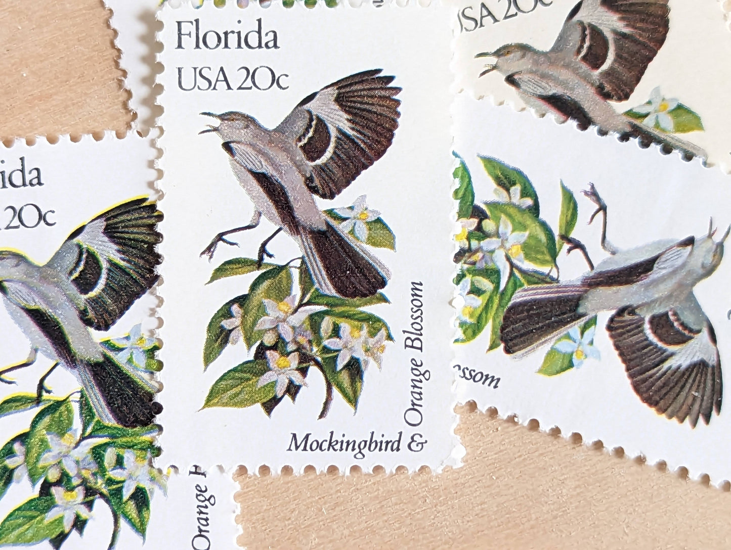 Florida State Stamp, Set of 5, Vintage Unused USPS 20 Cent Postage Stamps, State Bird and Flower, 1982, Gummed