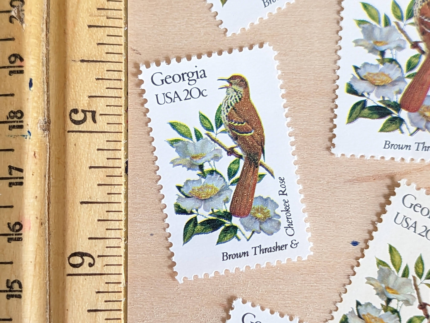 Georgia State Stamp, Set of 5, Vintage Unused USPS 20 Cent Postage Stamps, State Bird and Flower, 1982, Gummed
