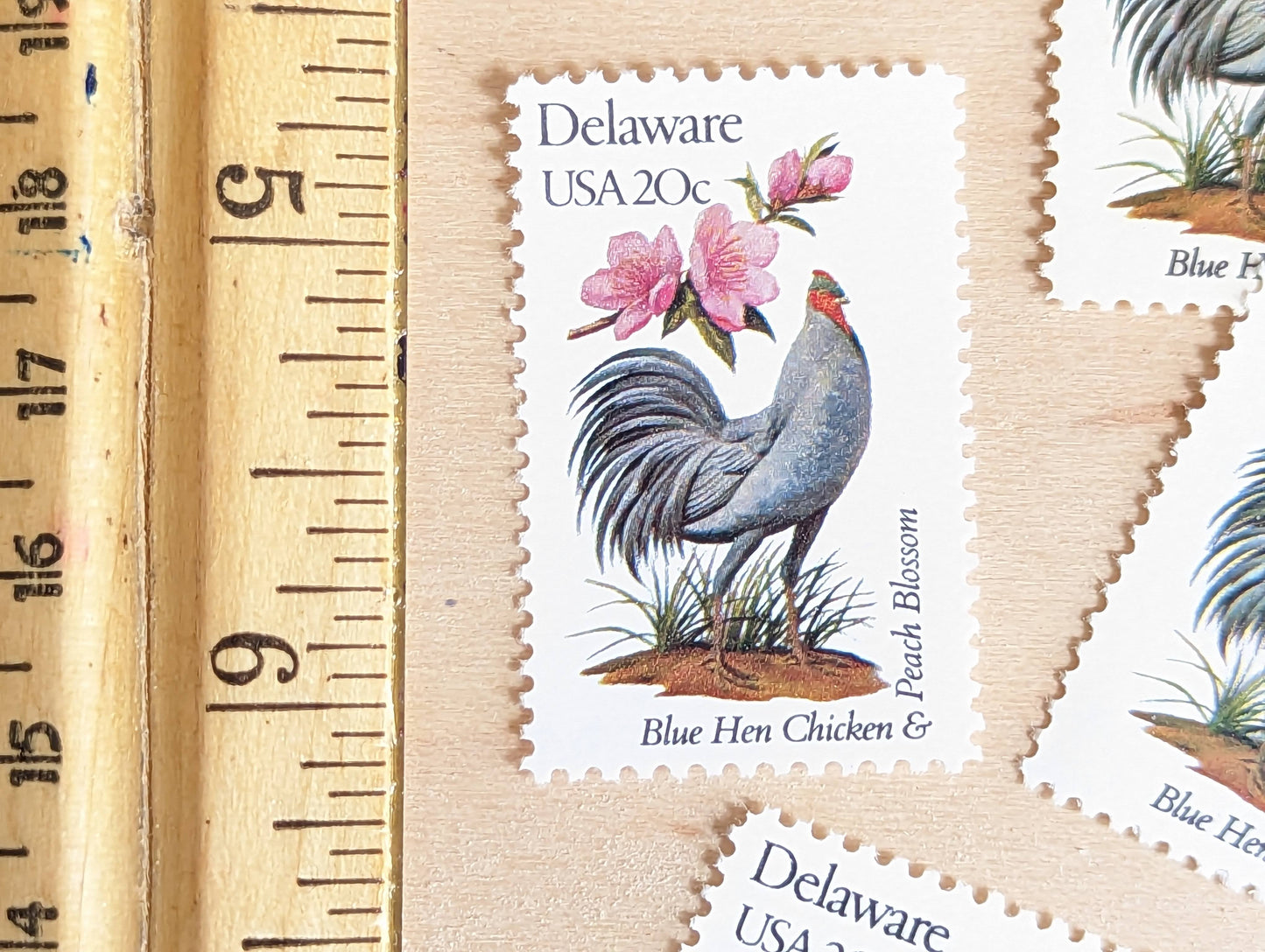 Delaware State Stamp, Set of 5, Vintage Unused USPS 20 Cent Postage Stamps, State Bird and Flower, 1982, Gummed