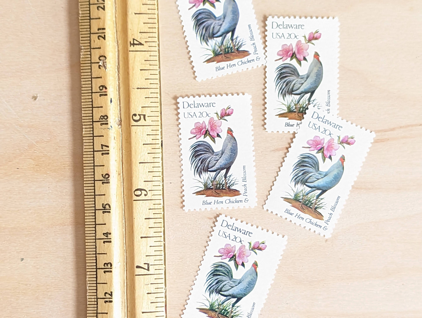 Delaware State Stamp, Set of 5, Vintage Unused USPS 20 Cent Postage Stamps, State Bird and Flower, 1982, Gummed