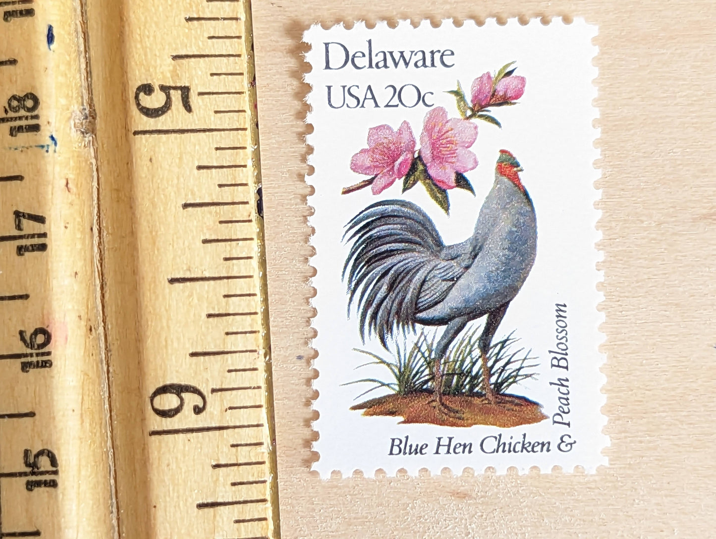 Delaware State Stamp, Set of 5, Vintage Unused USPS 20 Cent Postage Stamps, State Bird and Flower, 1982, Gummed