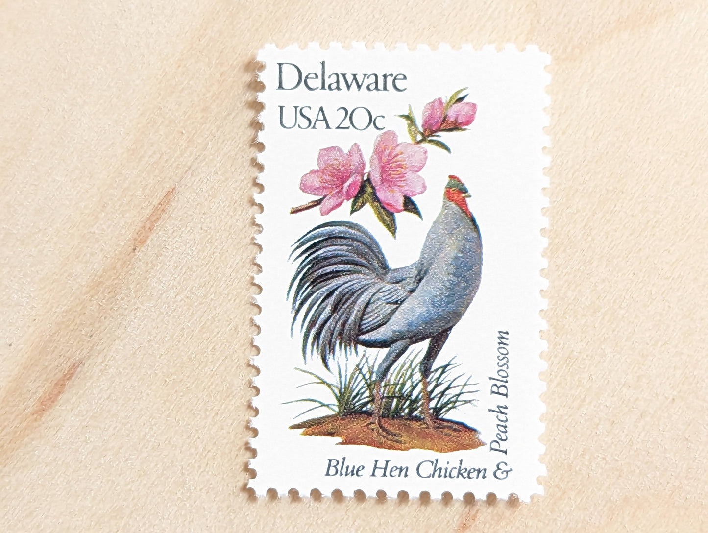 Delaware State Stamp, Set of 5, Vintage Unused USPS 20 Cent Postage Stamps, State Bird and Flower, 1982, Gummed