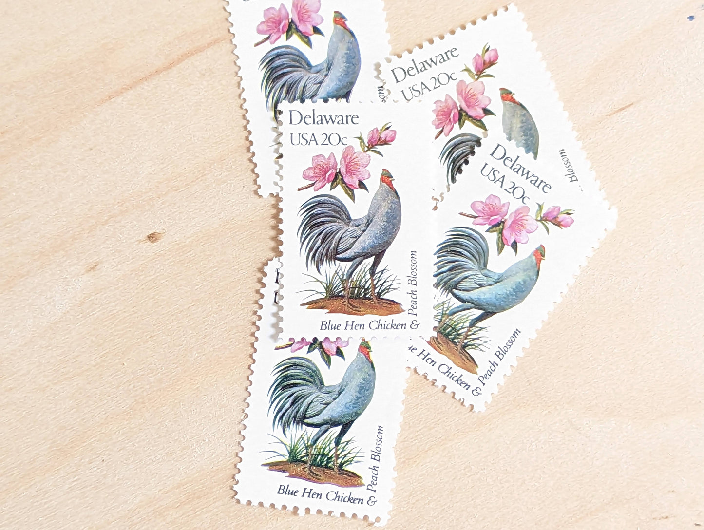 Delaware State Stamp, Set of 5, Vintage Unused USPS 20 Cent Postage Stamps, State Bird and Flower, 1982, Gummed