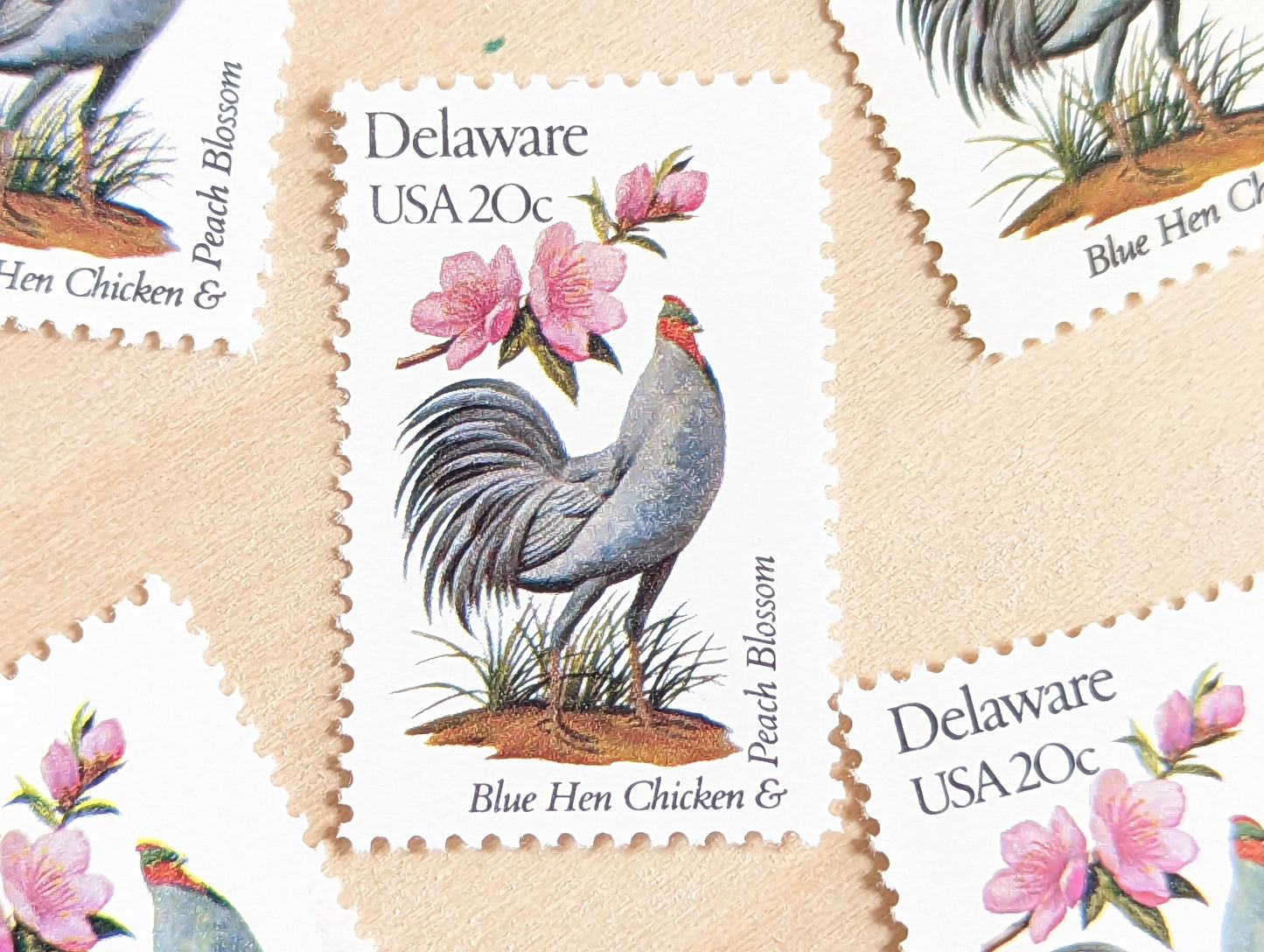 Delaware State Stamp, Set of 5, Vintage Unused USPS 20 Cent Postage Stamps, State Bird and Flower, 1982, Gummed