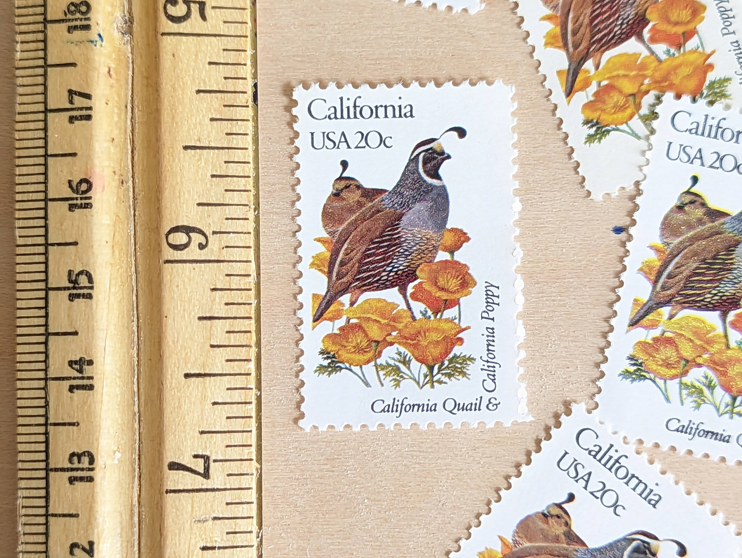 California State Stamp, Set of 5, Vintage Unused USPS 20 Cent Postage Stamps, State Bird and Flower, 1982, Gummed