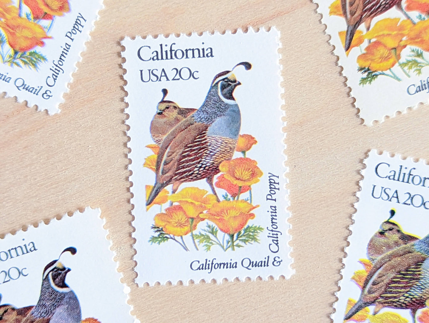 California State Stamp, Set of 5, Vintage Unused USPS 20 Cent Postage Stamps, State Bird and Flower, 1982, Gummed