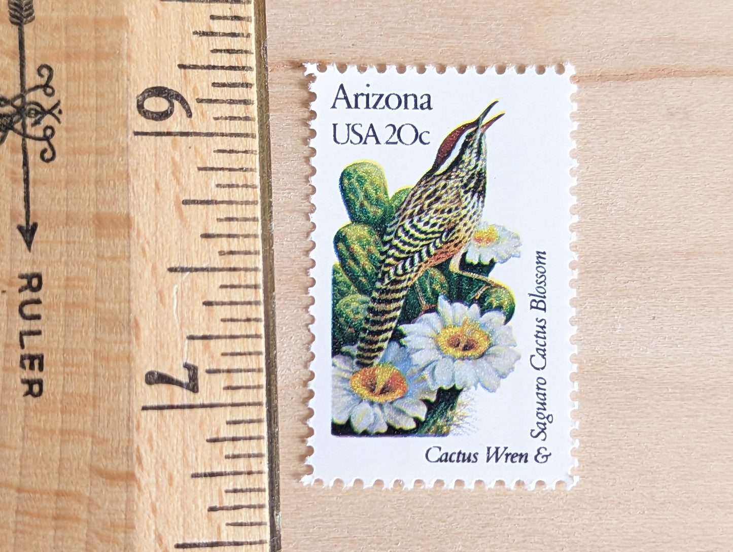 Arizona State Stamp, Set of 5, Vintage Unused USPS 20 Cent Postage Stamps, State Bird and Flower, 1982, Gummed