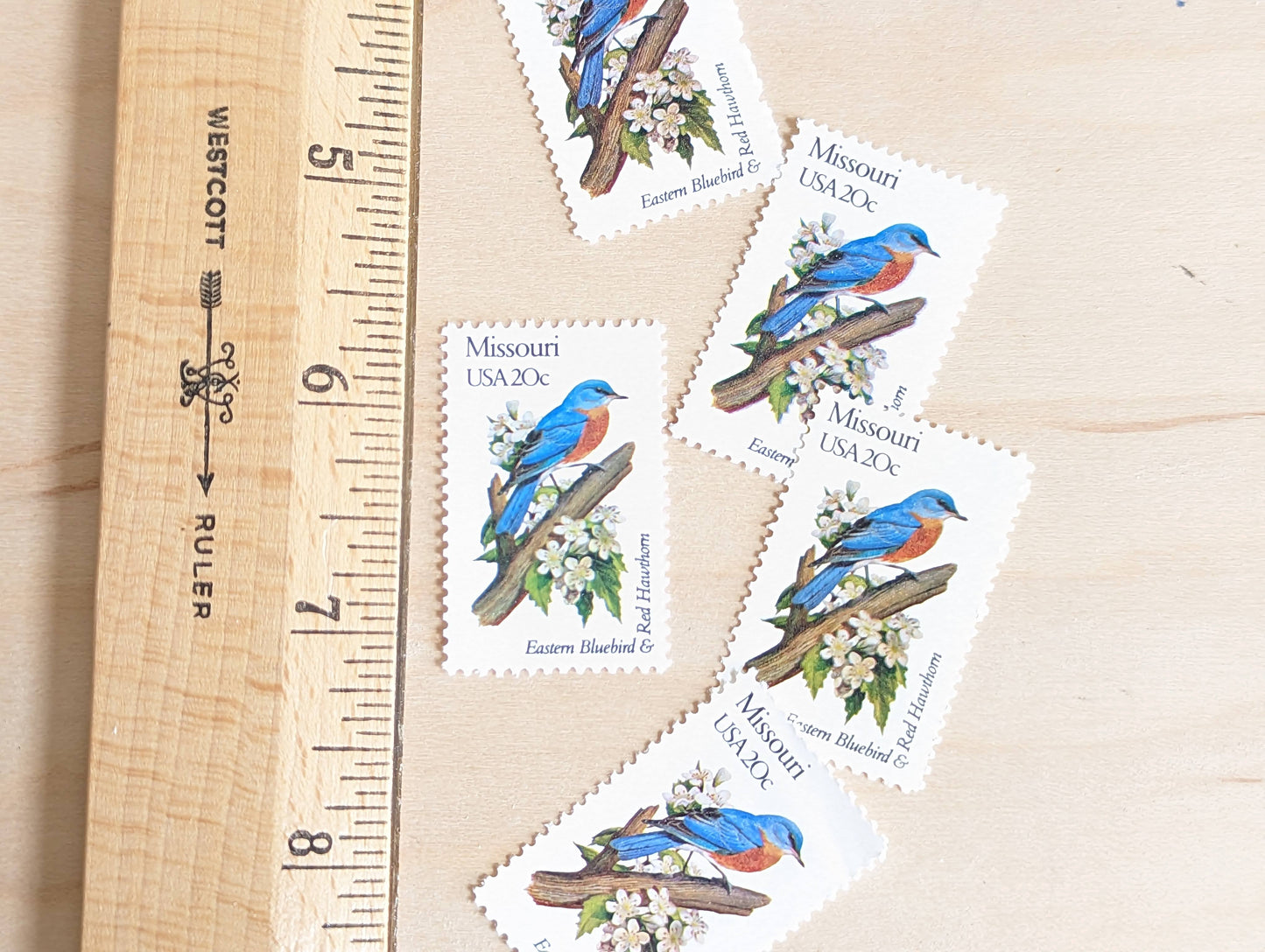 Missouri State Stamp, Set of 5, Vintage Unused USPS 20 Cent Postage Stamps, State Bird and Flower, 1982, Gummed