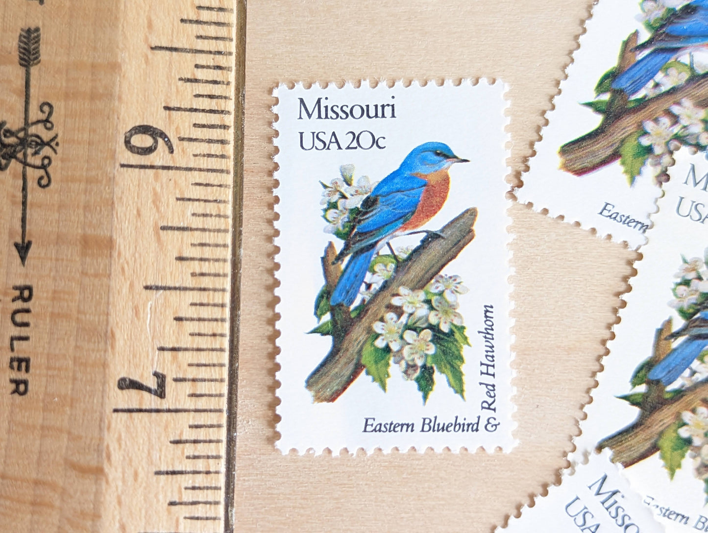 Missouri State Stamp, Set of 5, Vintage Unused USPS 20 Cent Postage Stamps, State Bird and Flower, 1982, Gummed