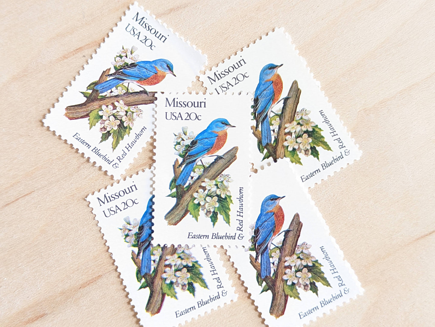 Missouri State Stamp, Set of 5, Vintage Unused USPS 20 Cent Postage Stamps, State Bird and Flower, 1982, Gummed