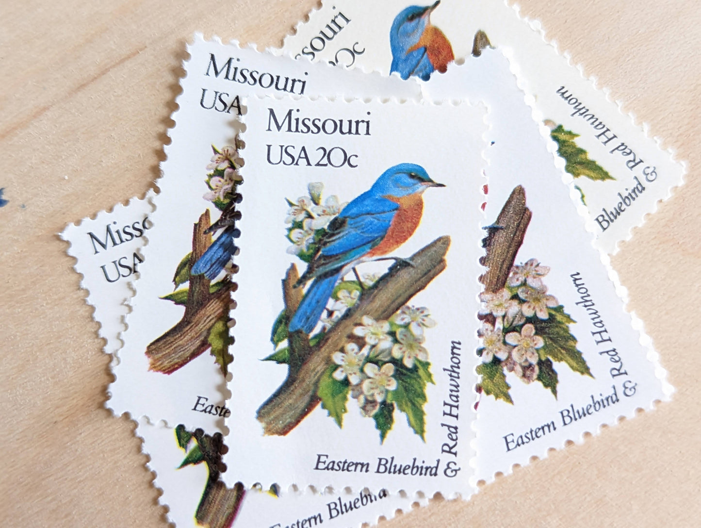 Missouri State Stamp, Set of 5, Vintage Unused USPS 20 Cent Postage Stamps, State Bird and Flower, 1982, Gummed