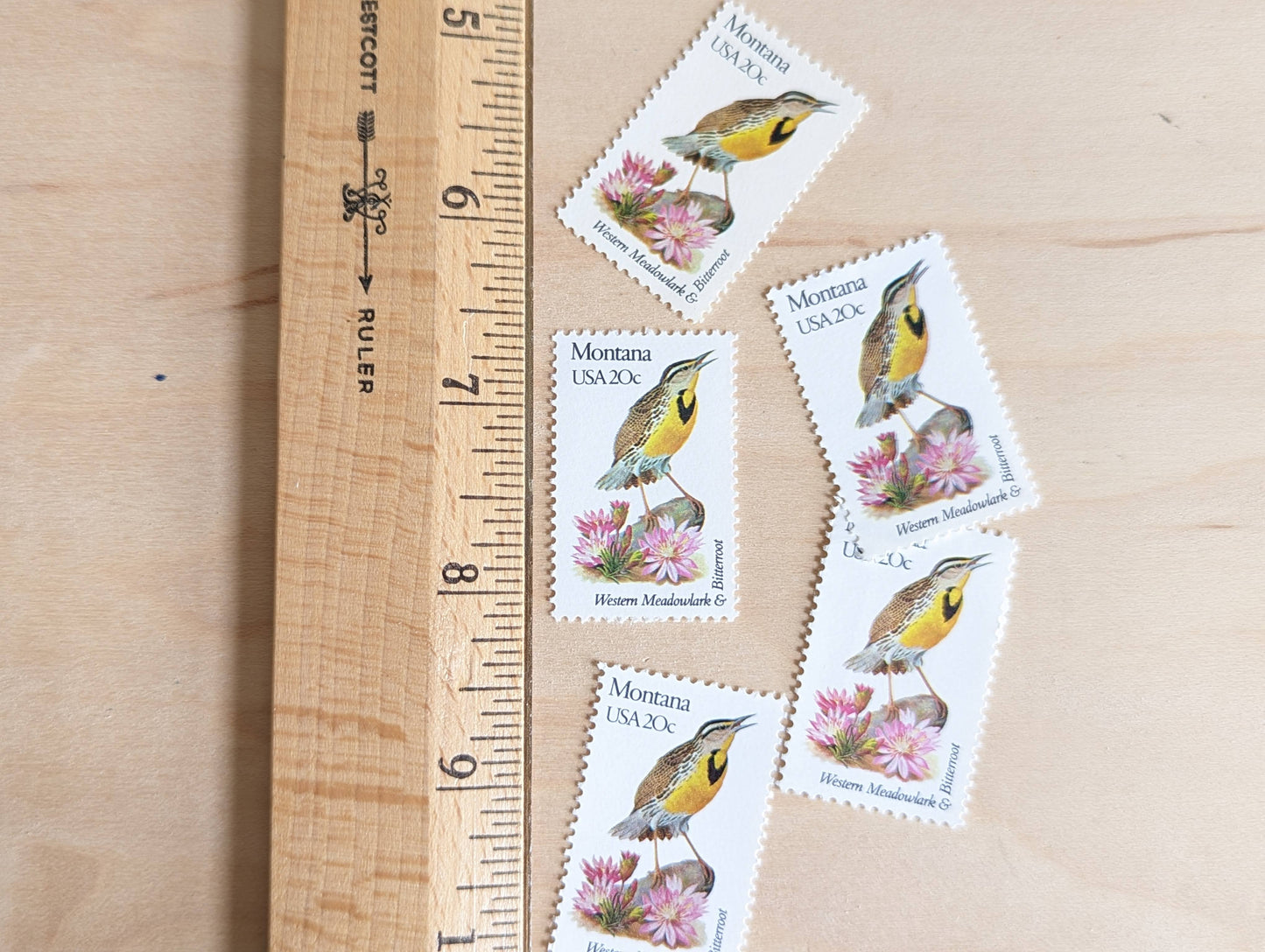 Montana State Stamp, Set of 5, Vintage Unused USPS 20 Cent Postage Stamps, State Bird and Flower, 1982, Gummed
