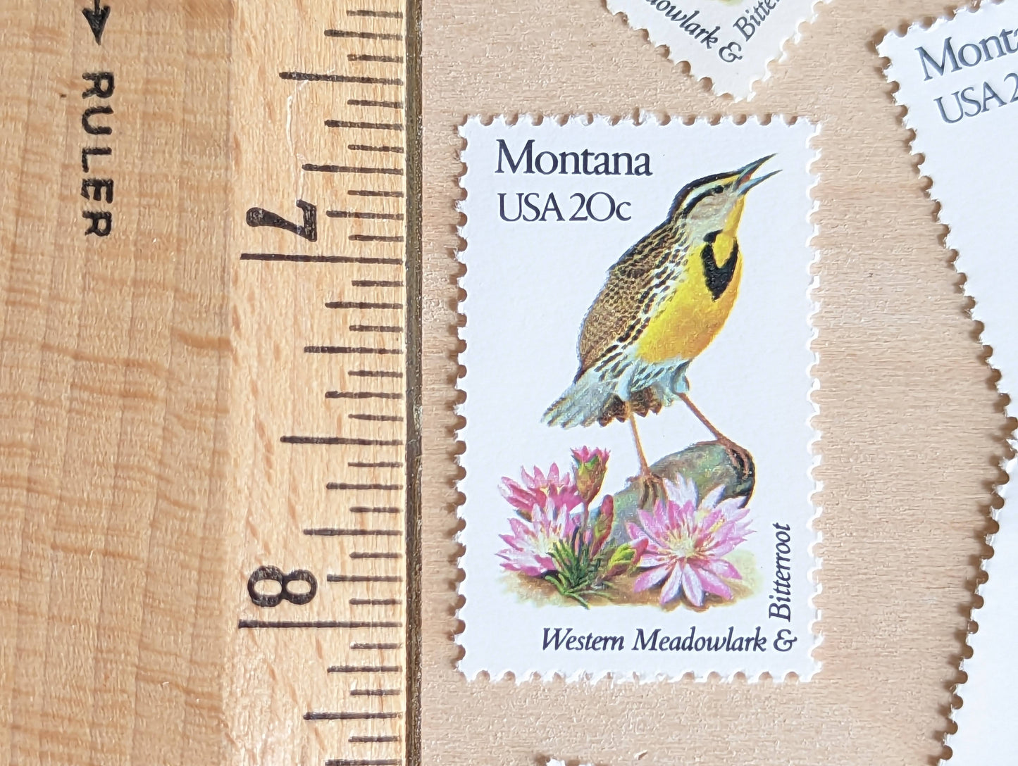 Montana State Stamp, Set of 5, Vintage Unused USPS 20 Cent Postage Stamps, State Bird and Flower, 1982, Gummed