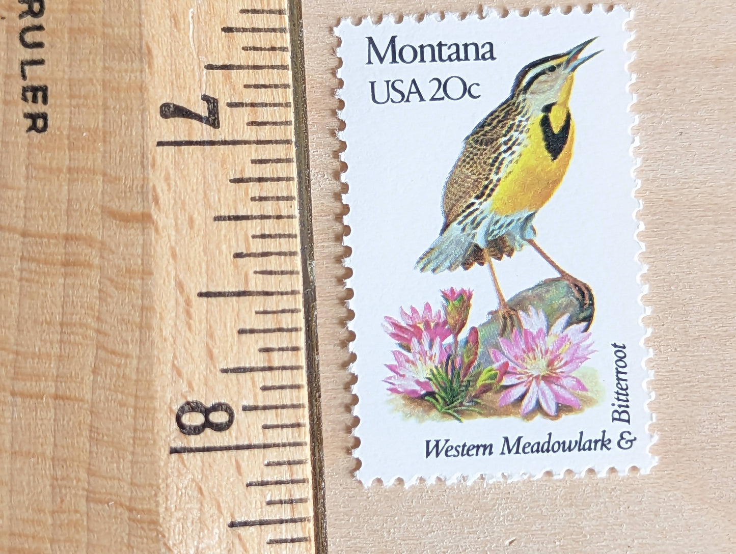 Montana State Stamp, Set of 5, Vintage Unused USPS 20 Cent Postage Stamps, State Bird and Flower, 1982, Gummed