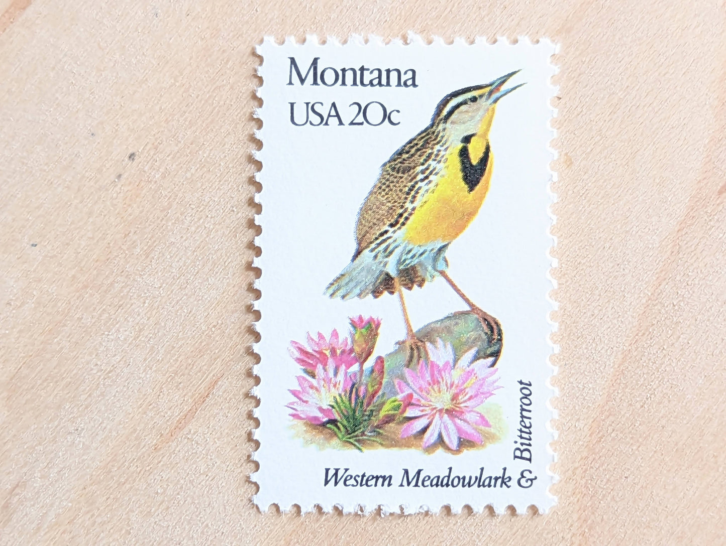 Montana State Stamp, Set of 5, Vintage Unused USPS 20 Cent Postage Stamps, State Bird and Flower, 1982, Gummed