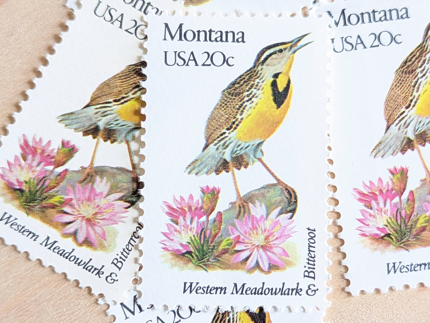 Montana State Stamp, Set of 5, Vintage Unused USPS 20 Cent Postage Stamps, State Bird and Flower, 1982, Gummed