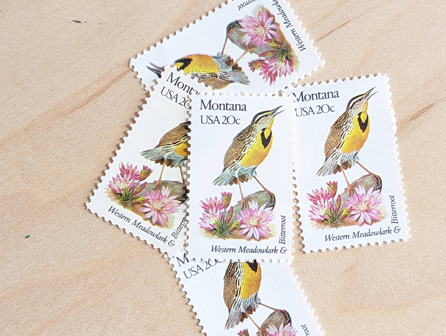 Montana State Stamp, Set of 5, Vintage Unused USPS 20 Cent Postage Stamps, State Bird and Flower, 1982, Gummed