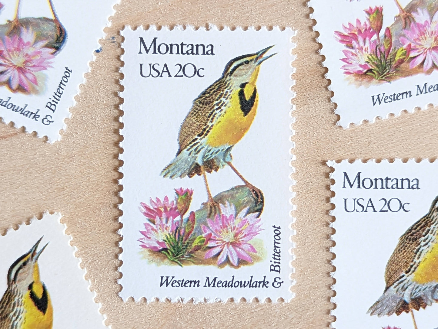 Montana State Stamp, Set of 5, Vintage Unused USPS 20 Cent Postage Stamps, State Bird and Flower, 1982, Gummed