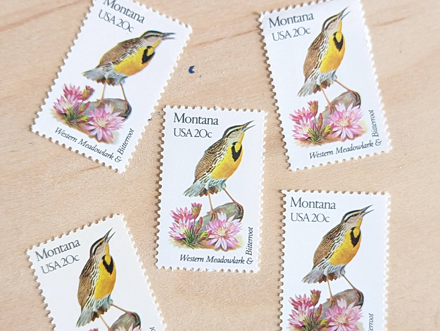 Montana State Stamp, Set of 5, Vintage Unused USPS 20 Cent Postage Stamps, State Bird and Flower, 1982, Gummed