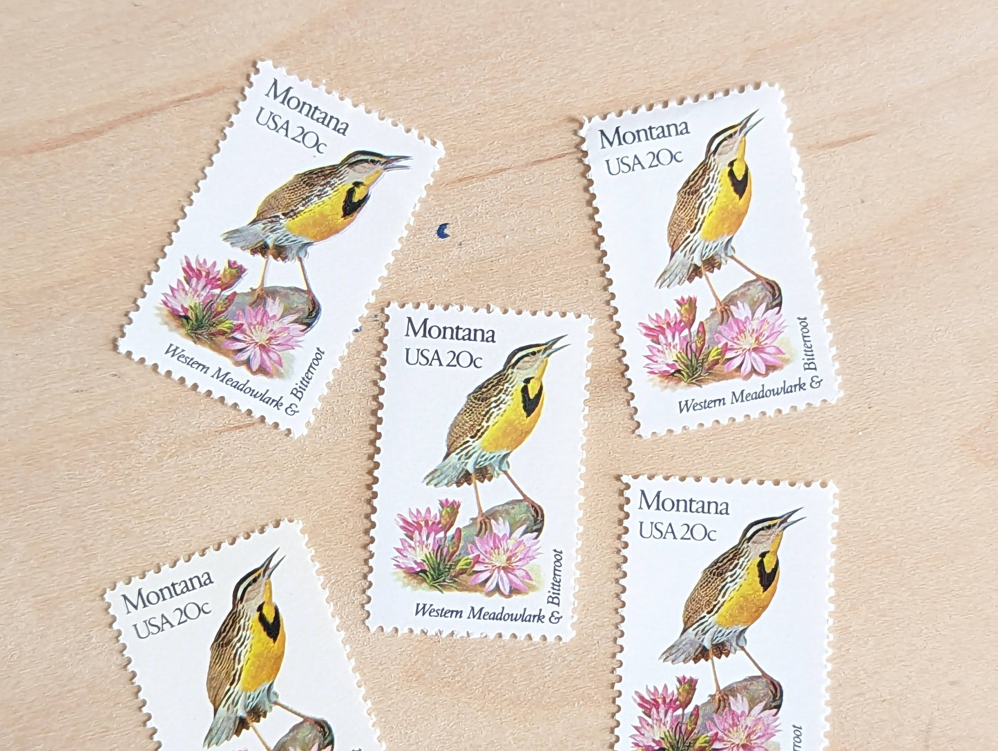 Montana State Stamp, Set of 5, Vintage Unused USPS 20 Cent Postage Stamps, State Bird and Flower, 1982, Gummed