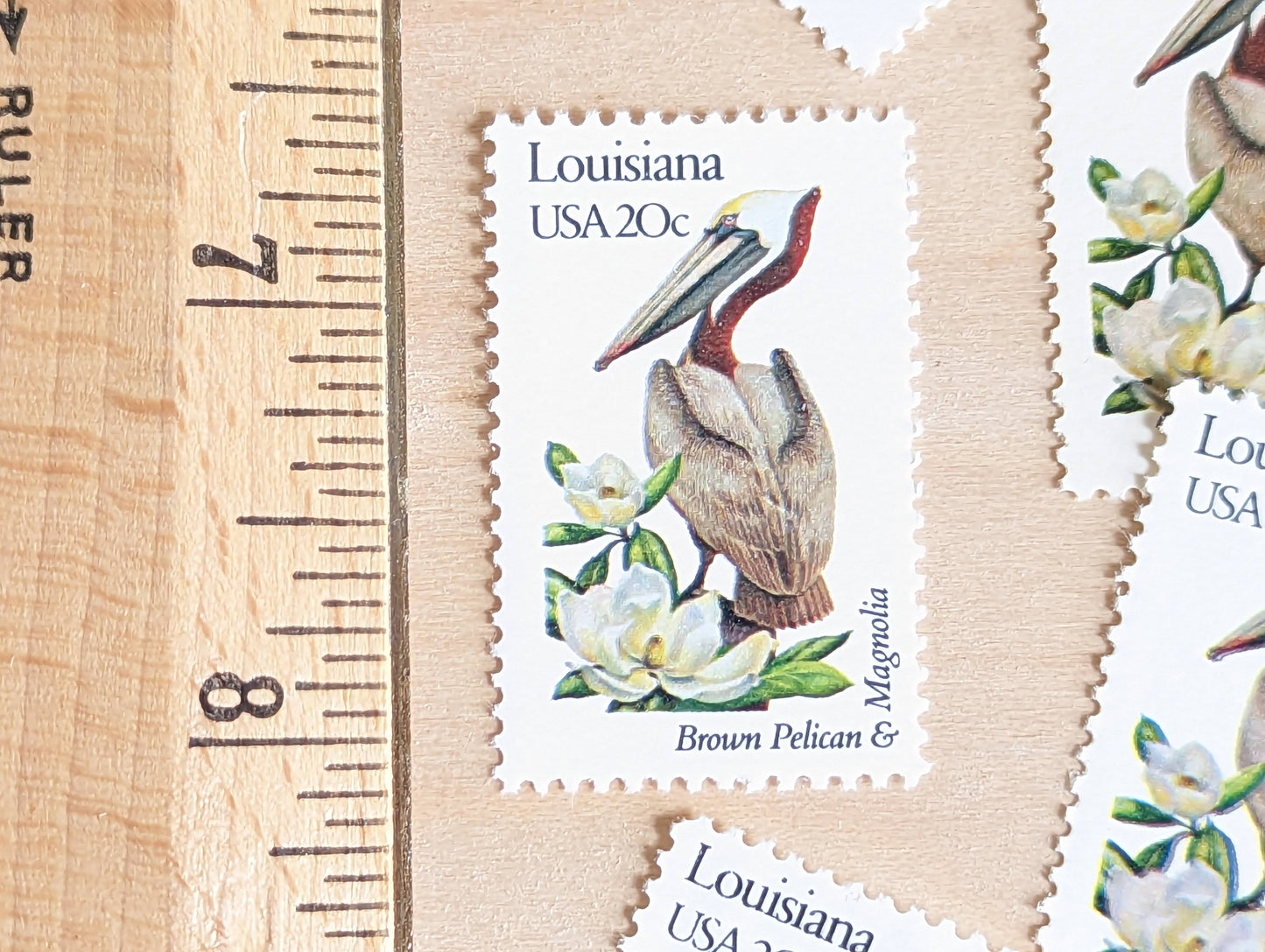 louisiana State Stamp, Set of 5, Vintage Unused USPS 20 Cent Postage Stamps, State Bird and Flower, 1982, Gummed