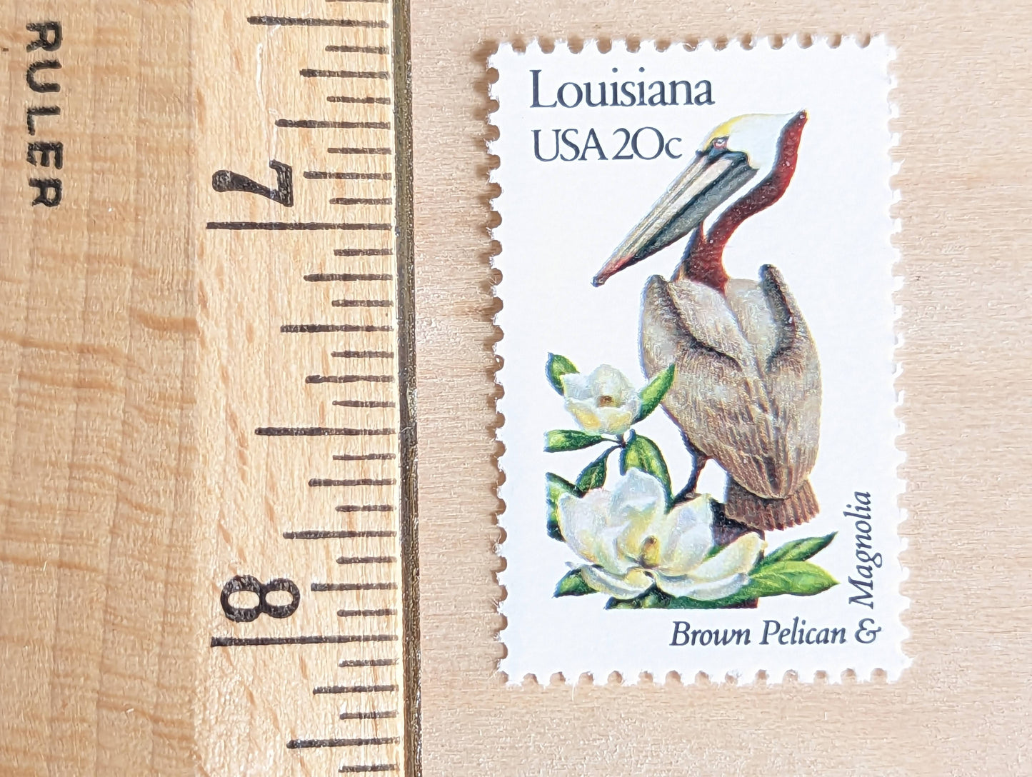 louisiana State Stamp, Set of 5, Vintage Unused USPS 20 Cent Postage Stamps, State Bird and Flower, 1982, Gummed