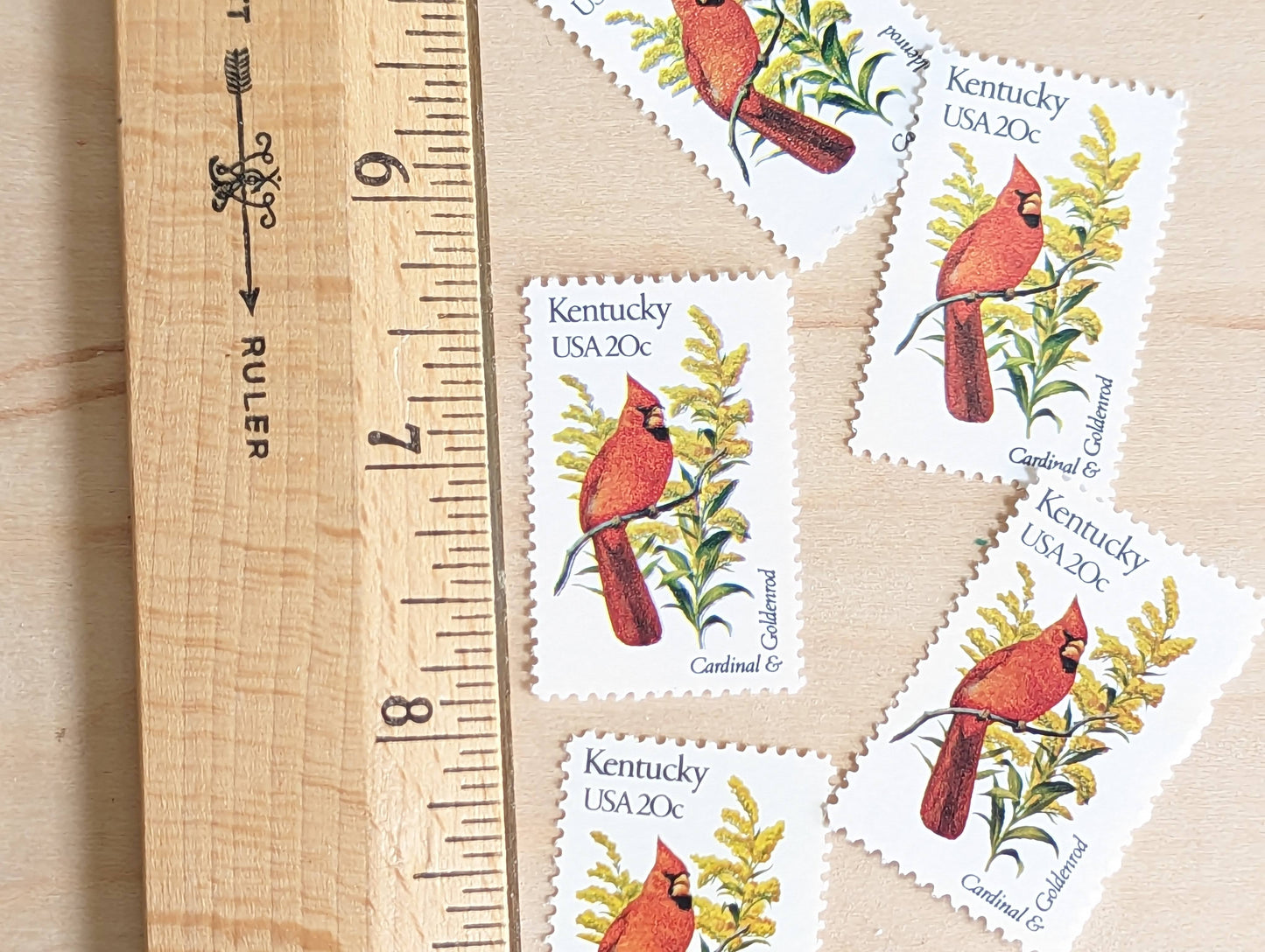 Kentucky State Stamp, Set of 5, Vintage Unused USPS 20 Cent Postage Stamps, State Bird and Flower, 1982, Gummed