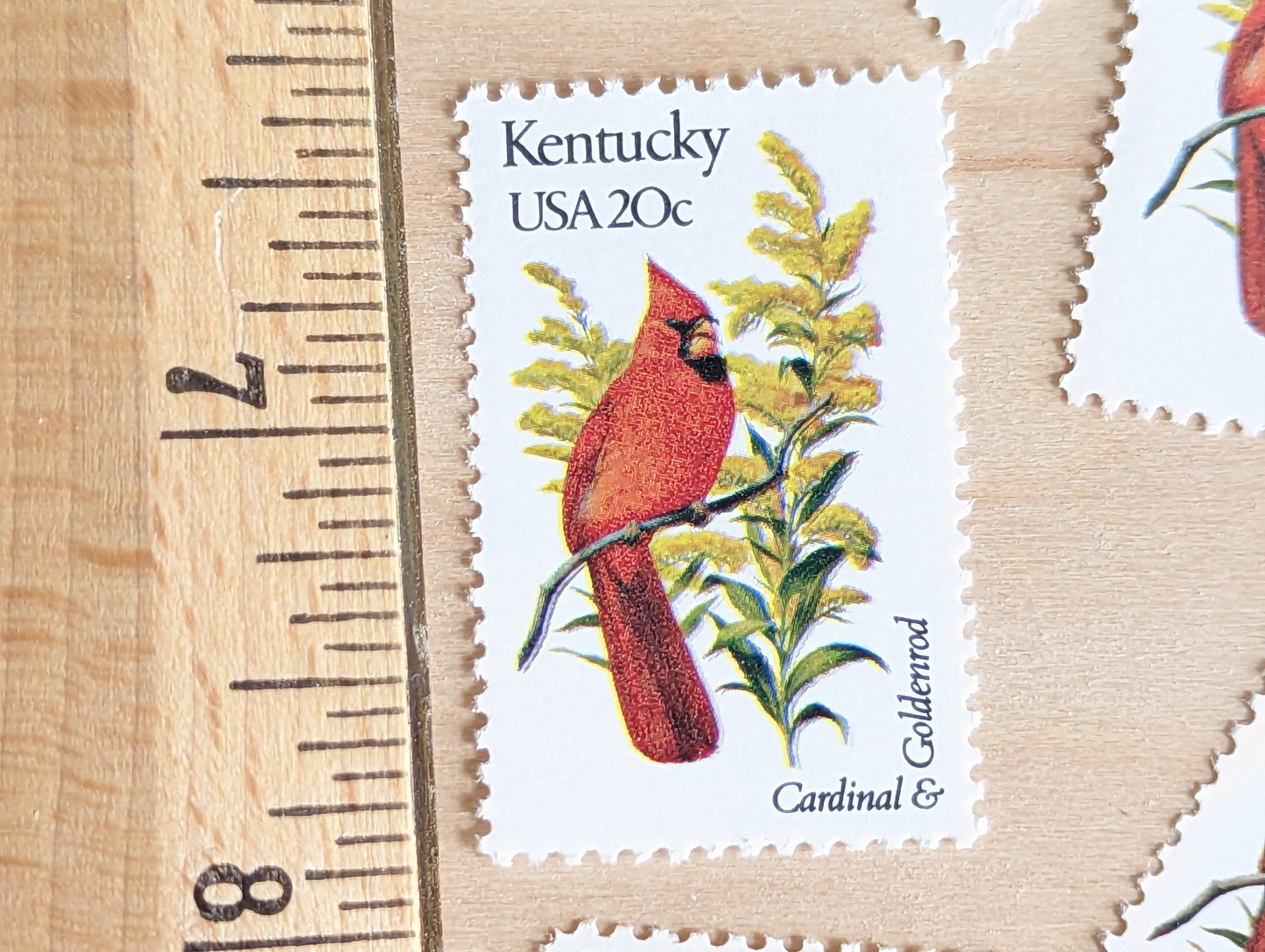 Kentucky State Stamp, Set of 5, Vintage Unused USPS 20 Cent Postage Stamps, State Bird and Flower, 1982, Gummed