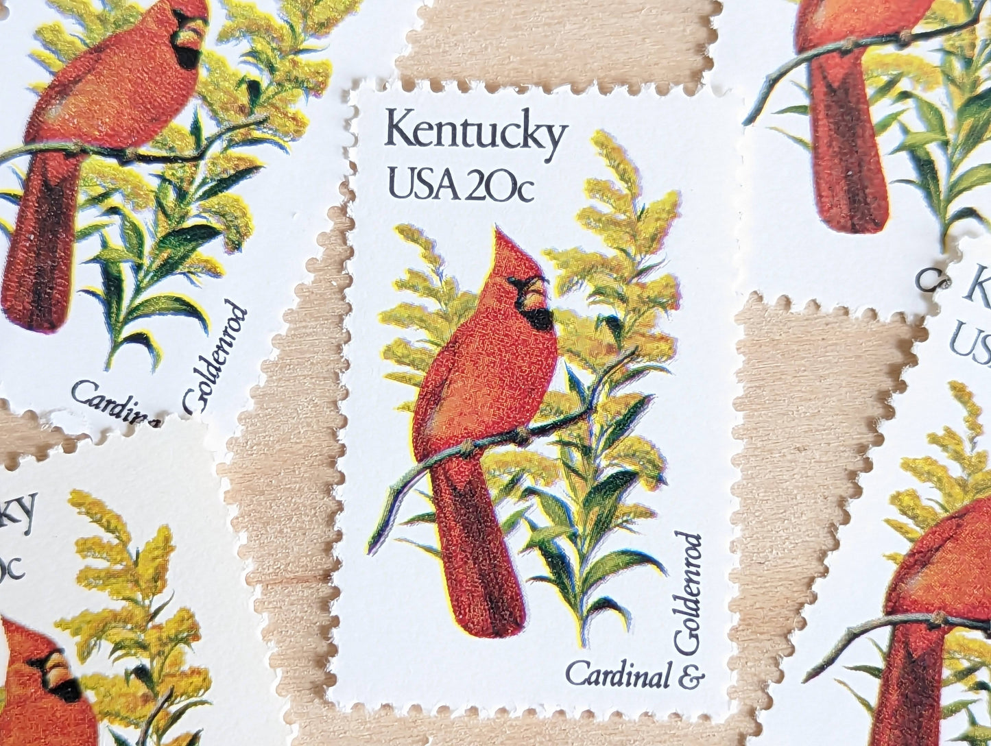 Kentucky State Stamp, Set of 5, Vintage Unused USPS 20 Cent Postage Stamps, State Bird and Flower, 1982, Gummed