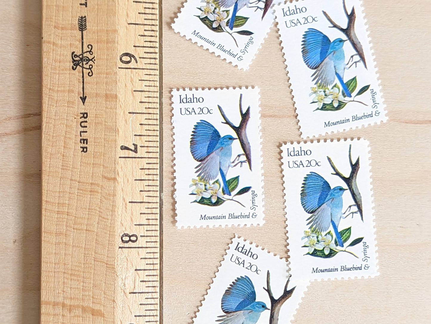 Idaho State Stamp, Set of 5, Vintage Unused USPS 20 Cent Postage Stamps, State Bird and Flower, 1982, Gummed