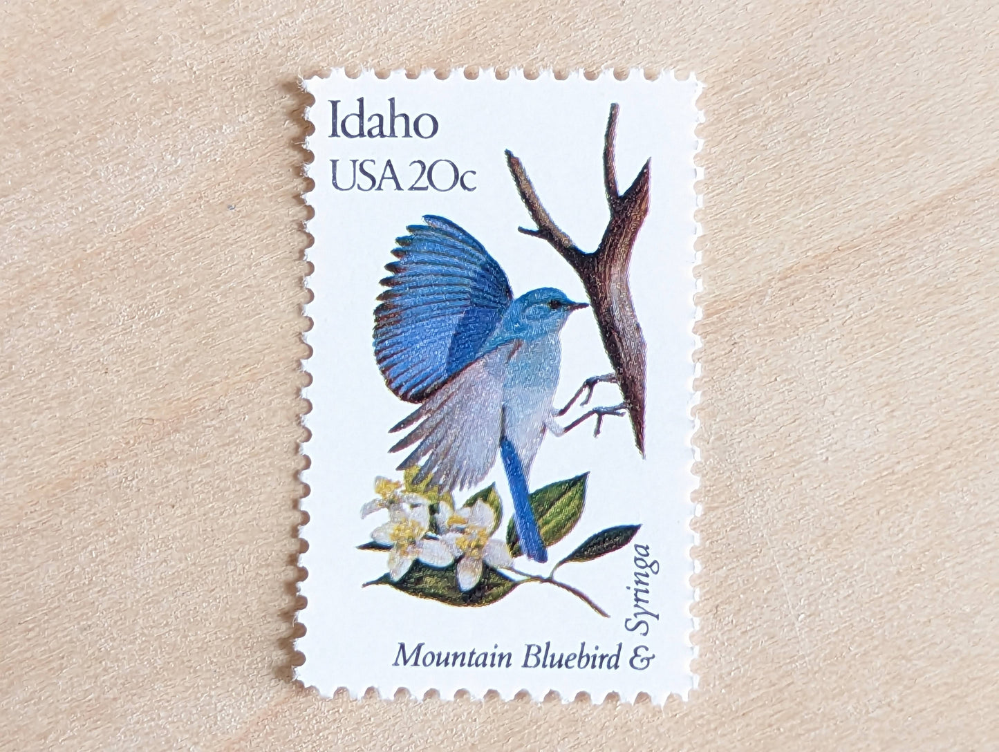 Idaho State Stamp, Set of 5, Vintage Unused USPS 20 Cent Postage Stamps, State Bird and Flower, 1982, Gummed
