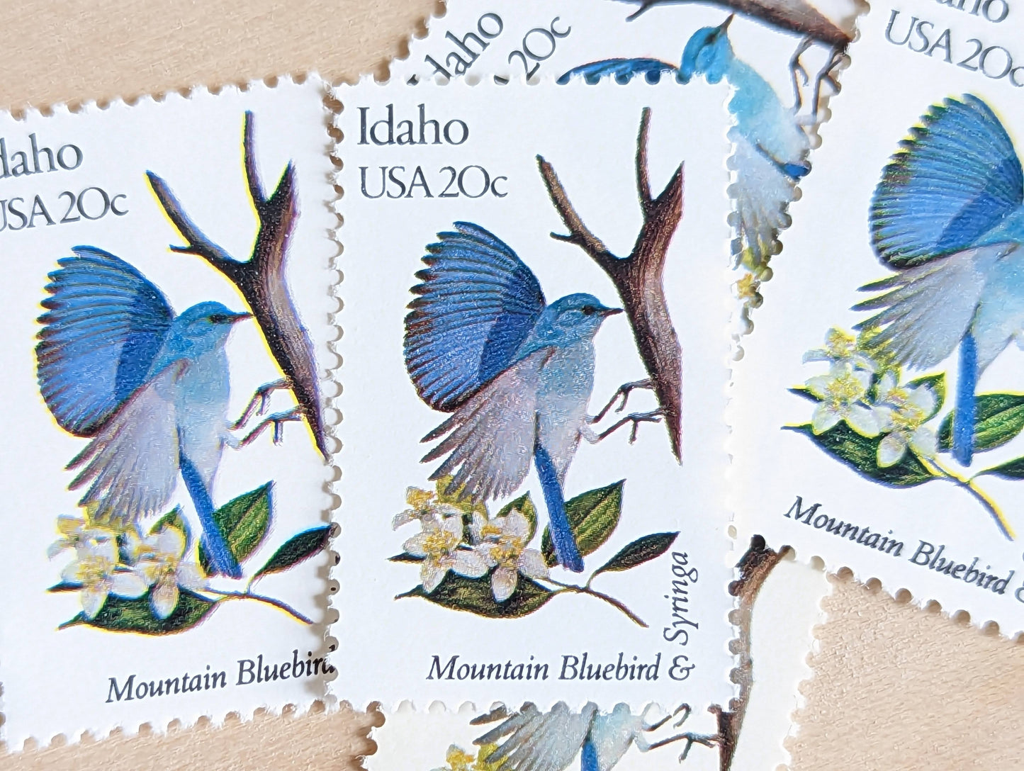 Idaho State Stamp, Set of 5, Vintage Unused USPS 20 Cent Postage Stamps, State Bird and Flower, 1982, Gummed
